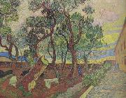 Vincent Van Gogh The Garden of Saint-Paul Hospital (nn04) oil painting on canvas